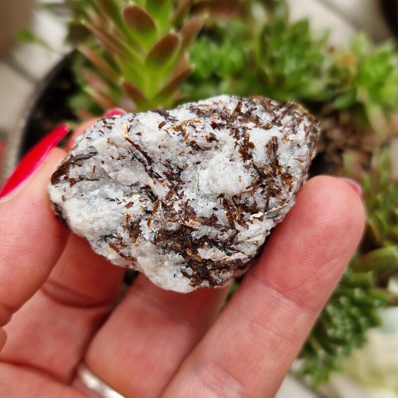Rare pierre brute d Astrophyllite