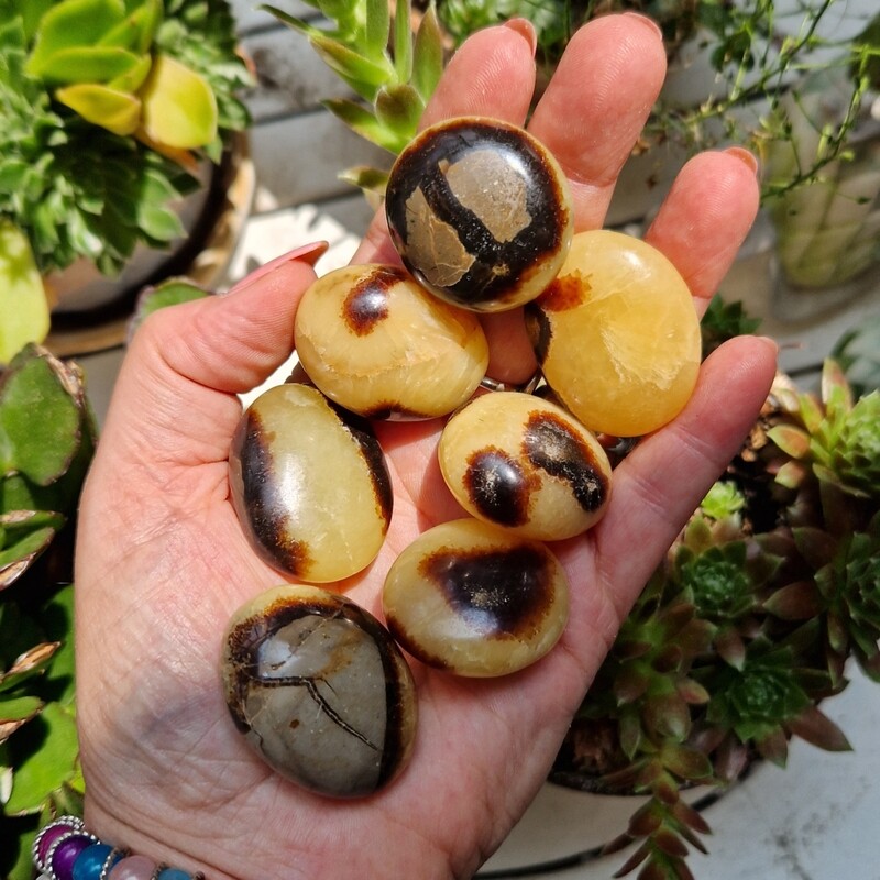 Galet roulé Septaria extra