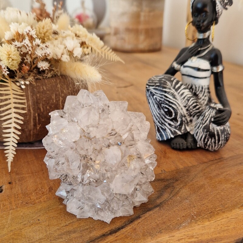 Unique Quartz naturel en forme " Cactus "