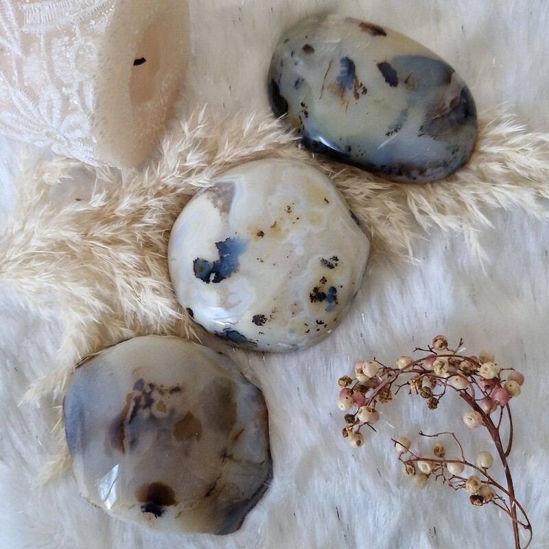 Fraîcheur de la Nature. Agate fougère