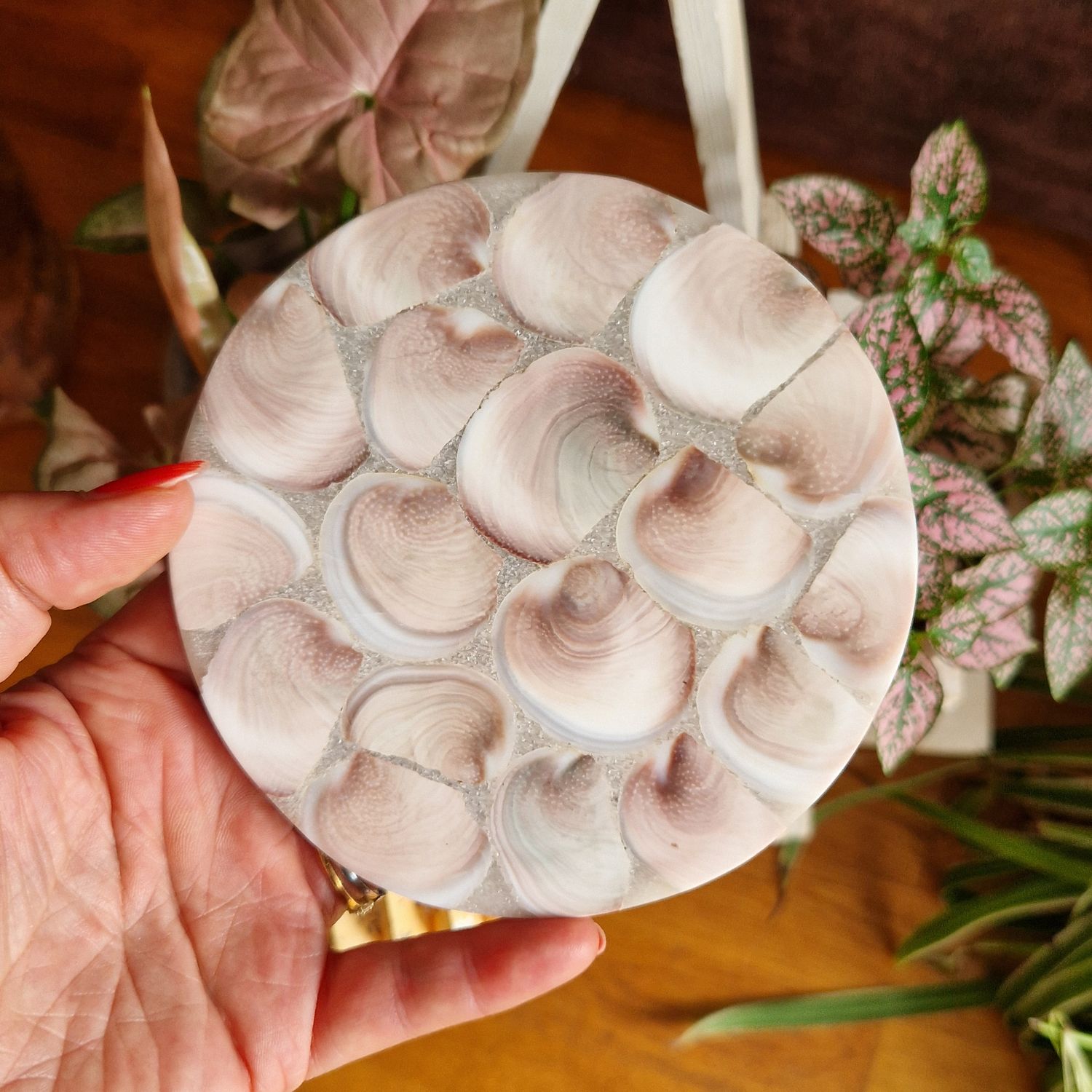 Plateau Sainte lucie porte-bonheur Plateau Sainte lucie porte-bonheur