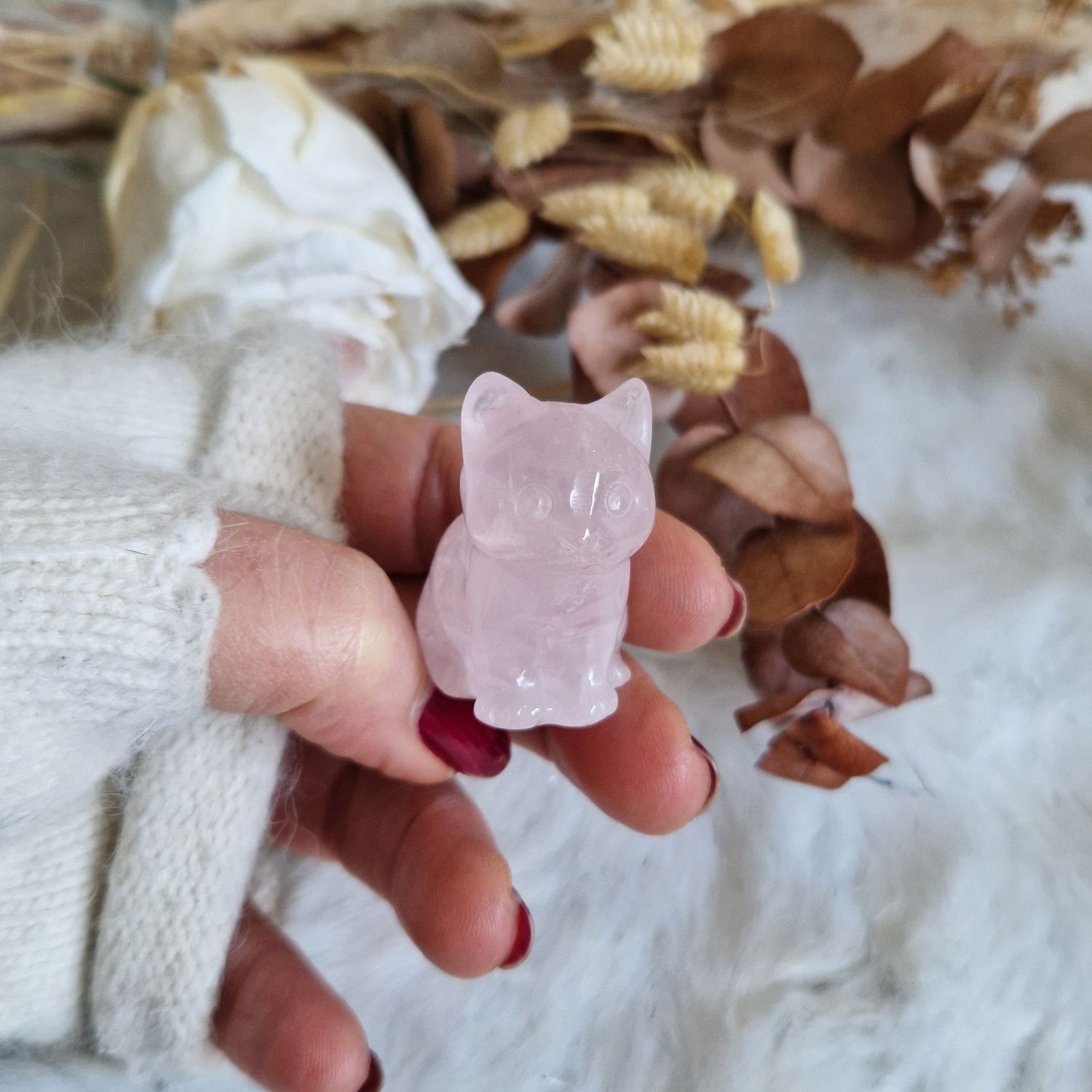 Petit chat protection amour