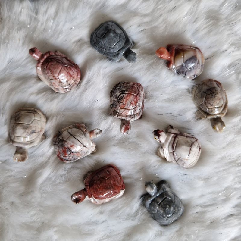 Tortues pierre des Andes