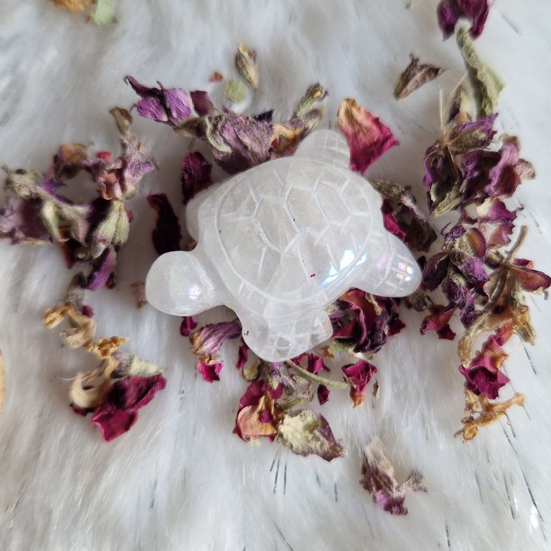 Tortue protection du foyer. Angel Aura extra
