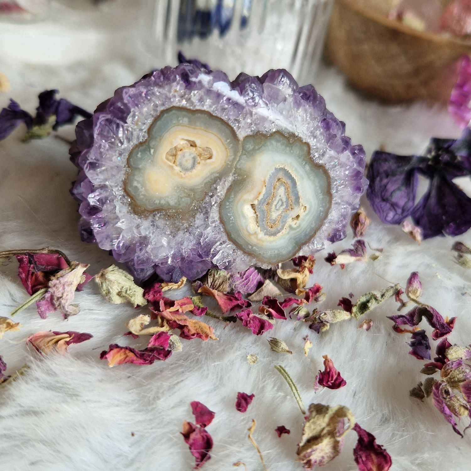 Tendre tranche d'améthyste Tendre tranche d'améthyste