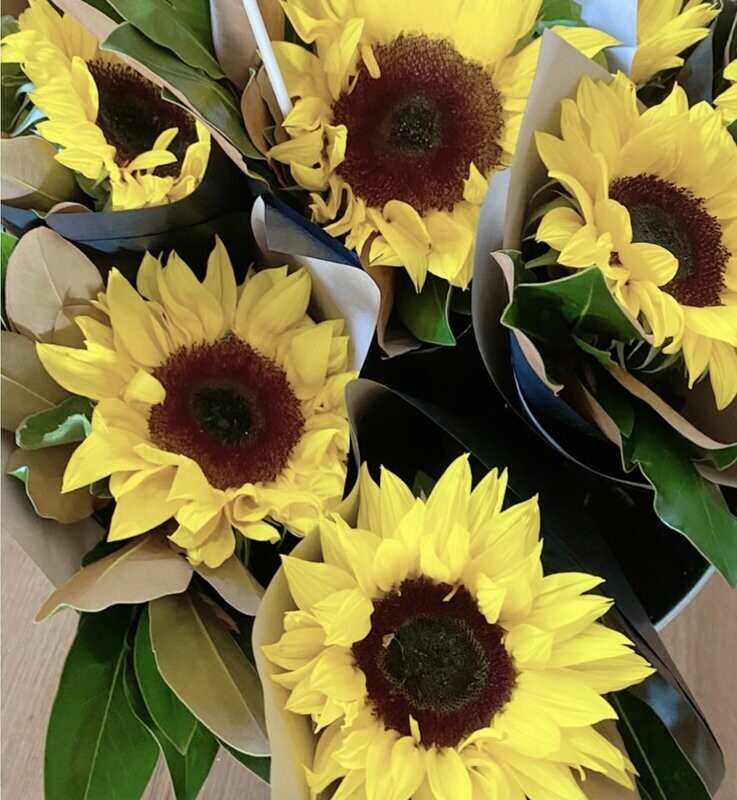 Sunflowers
