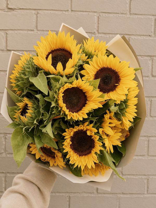 Sunflowers