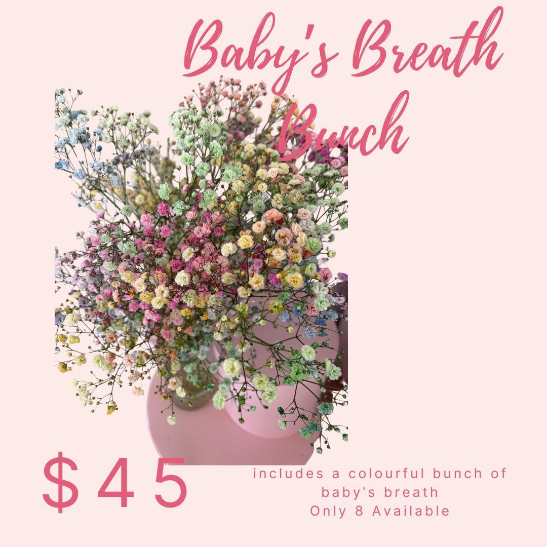 Baby's Breath Bunch