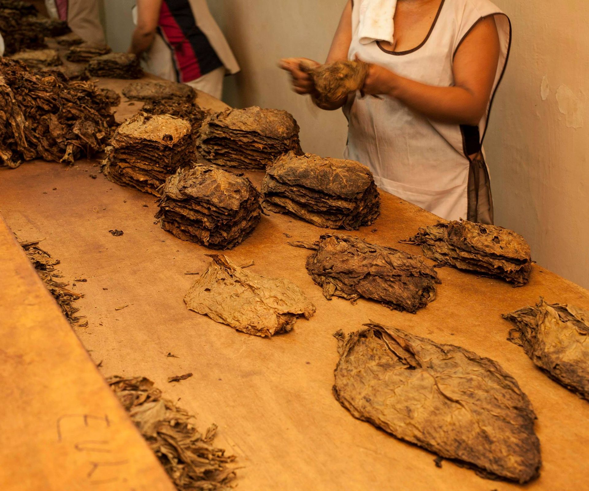 TOUR URKU + TARAPOTO