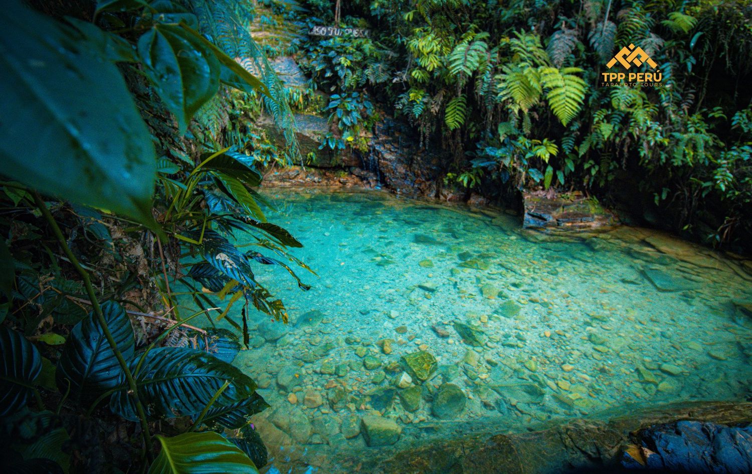 Paquete Tarapoto 6d/5n