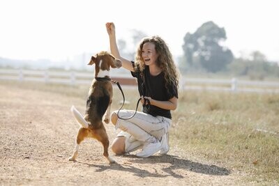 CBD for Pets