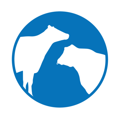 Bovine Heat Detection and Estrus Synchronization