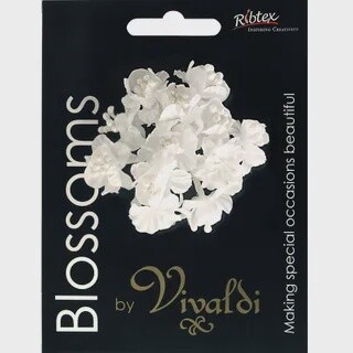 Flower Poly with Stamens - White
