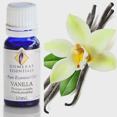 Vanilla Pure Essential Oil