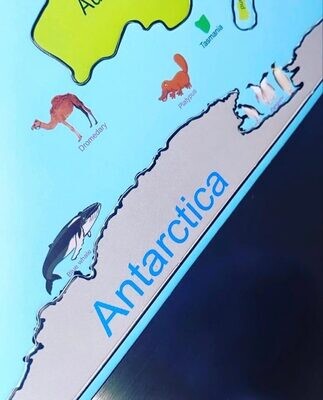 World Map