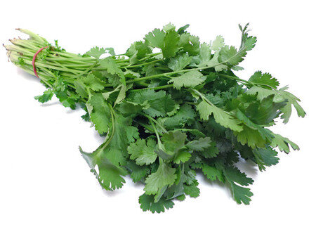 CORIANDER (BUNCH)