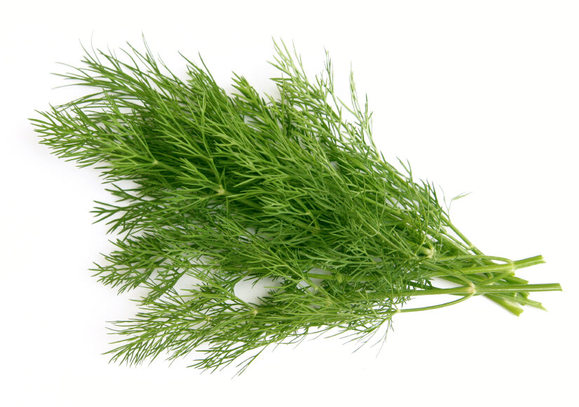 DILL (BUNCH)