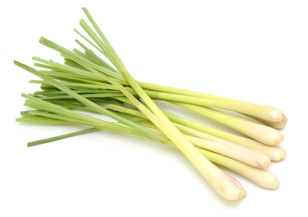 LEMON GRASS (STALK)