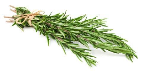 ROSEMARY (BUNCH)