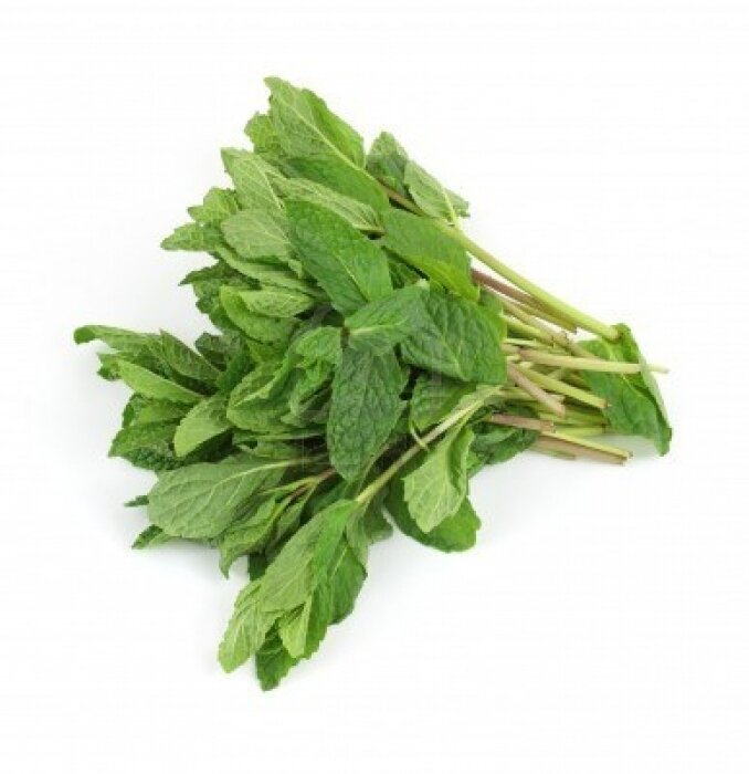 MINT (BUNCH)