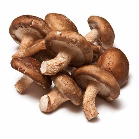 SHIITAKE MUSHROOMS (100G PACK)