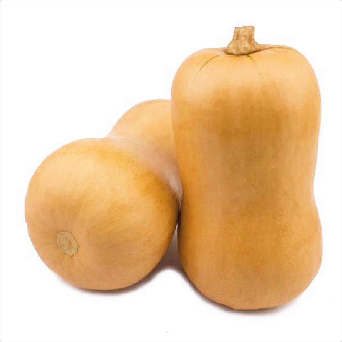 BUTTERNUT PUMPKIN LARGE (WHOLE EACH)
