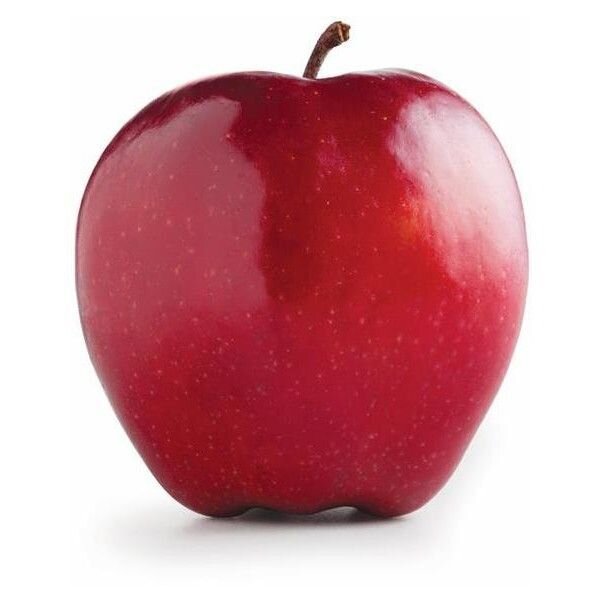 THE SEASON KANZI APPLE SWEET AND CRISPY(THE ROLLS ROYCE OF APPLES) kg