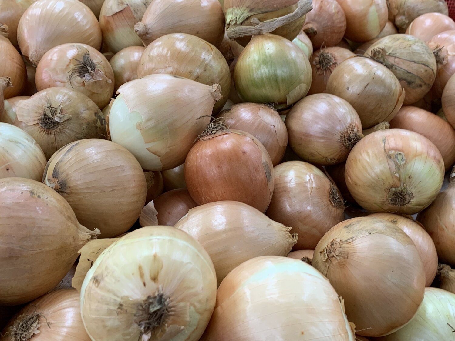 ONIONS BROWN (KG)