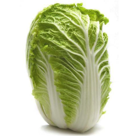 WOMBOK - CHINESE CABBGE WHOLE