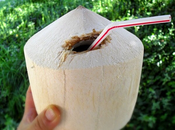 DRINKING COCONUT