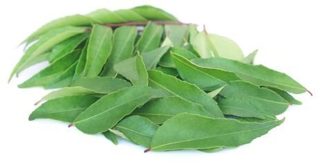 CURRY LEAVES (PACK)