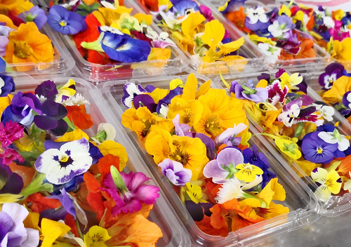 EDIBLE FLOWERS (PUNNET)