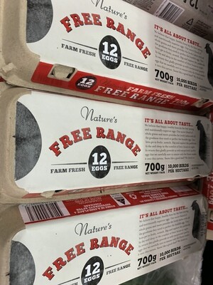 CARTON - 15 DOZEN FREE RANGE EGGS BOX (700G) HUNTER VALLEY