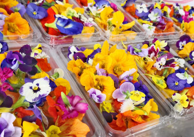 EDIBLE FLOWERS (PUNNET)