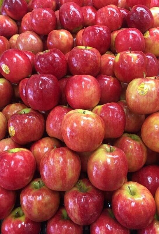 PINK LADY APPLES MEDIUM SIZE ONLY $2 a NET PINK LADY APPLES MEDIUM SIZE ONLY $2 a NET