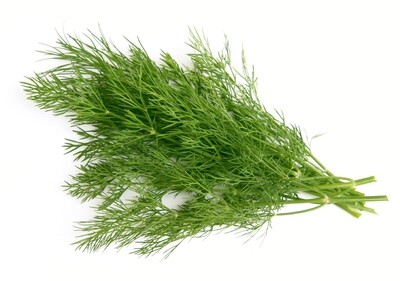 DILL (BUNCH)
