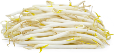 BEANSHOOTS BAG