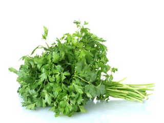 PARSLEY CONTINENTAL (BUNCH)