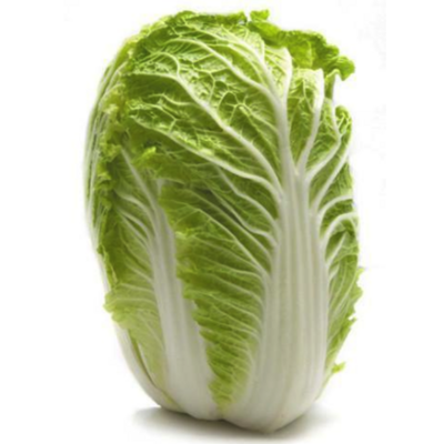 WOMBOK - CHINESE CABBGE WHOLE