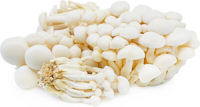 SHIMEJI MUSHROOMS (100G PACK)