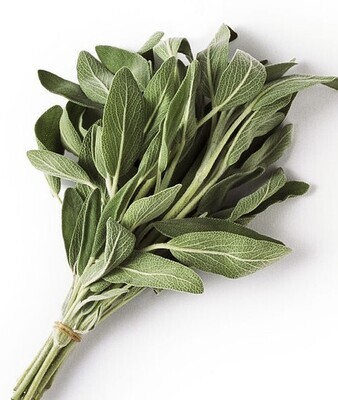 SAGE (BUNCH)