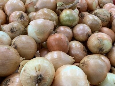 ONIONS BROWN (KG)