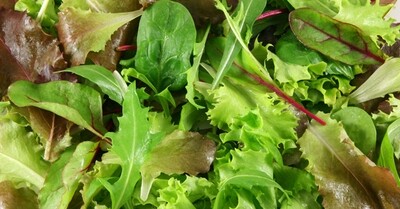 SALAD MIX LEAF (200G)