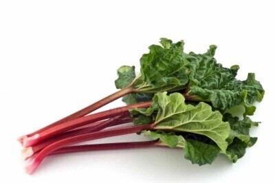 RHUBARB LARGE  BUNCH