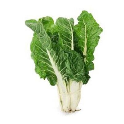 LARGE FRESH LOCAL  SILVERBEET SPINACH