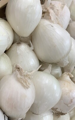 ONION WHITE (KG)
