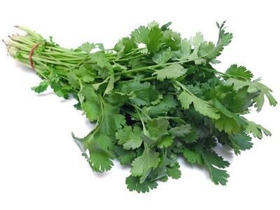 CORIANDER (BUNCH)
