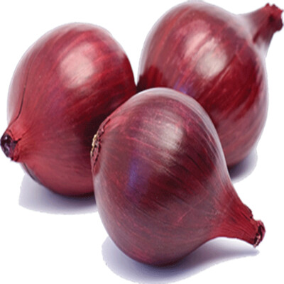 ONION SPANISH (KG)