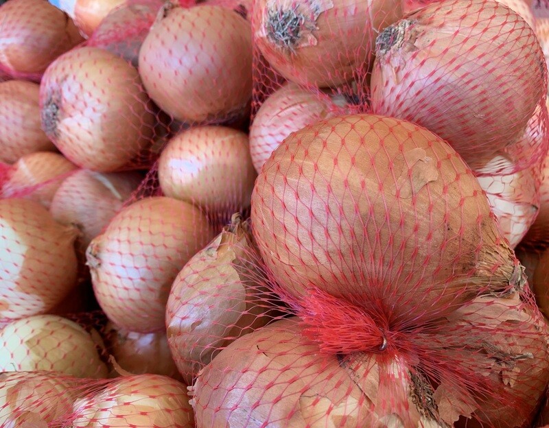 ONIONS NET (BAG)