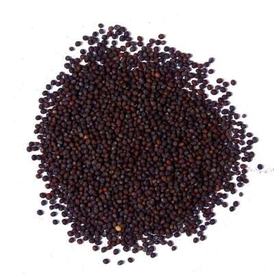 MASTER OF SPICES MUSTARD BROWN SEEDS (80G)